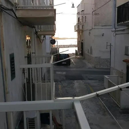 Palumbo *
